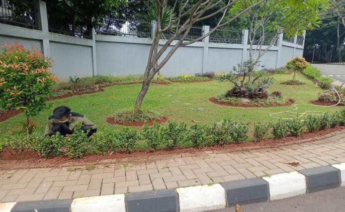 JASA LANDSCAPE TAMAN